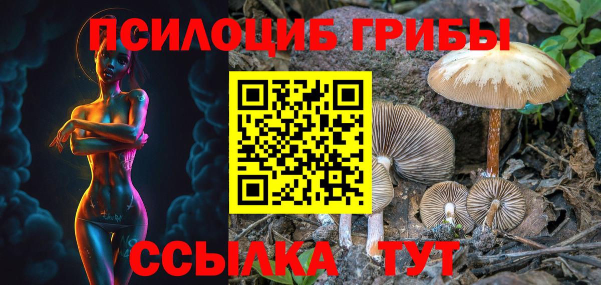Псилоцибиновые грибы Киров