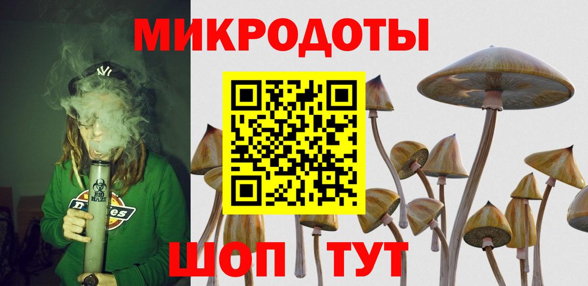 Псилоцибиновые грибы GOLDEN TEACHER  Вход с VPN  Киров  где найти наркотики  Псилоцибиновые грибы мицелий 