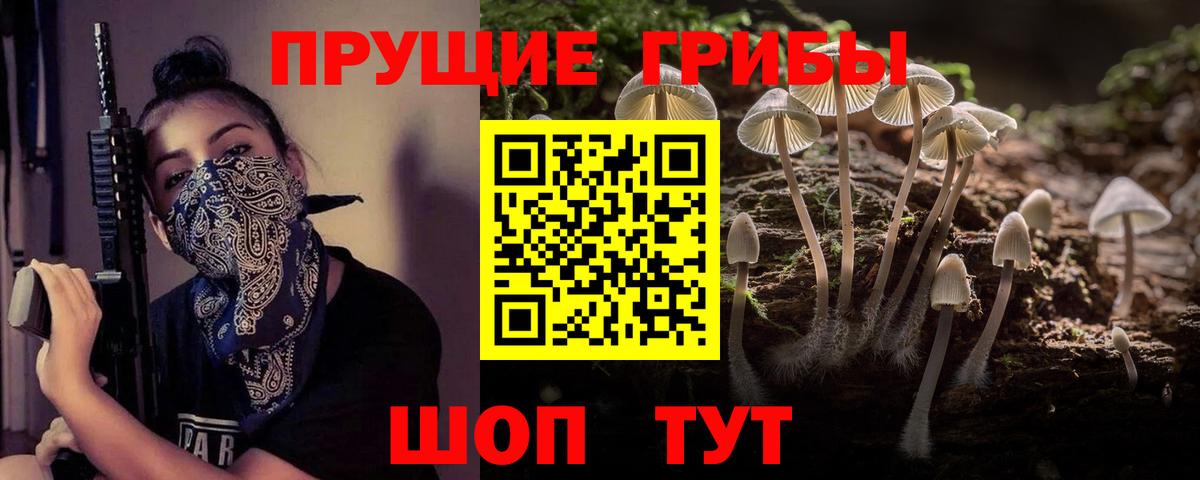 Галлюциногенные грибы Cubensis Киров