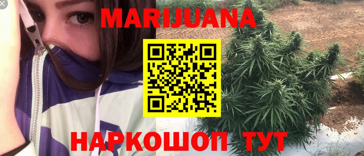Канабис план  Конопля сатива  Шишки марихуана сатива  Шишки марихуана семена  Вход с VPN  Киров 